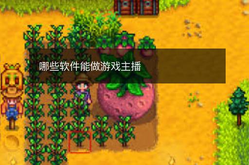 哪些软件能做游戏主播