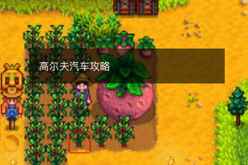 高尔夫汽车攻略